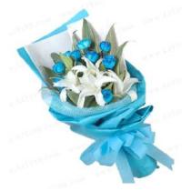 礼意久久送礼网 老婆 最美