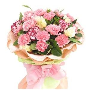 教师节送什么花给老师