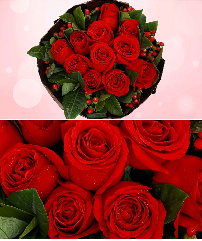 õ廨ͼƬȫ-õ廨ʻͼƬȫ,õ廨ͼƬȫ,õ